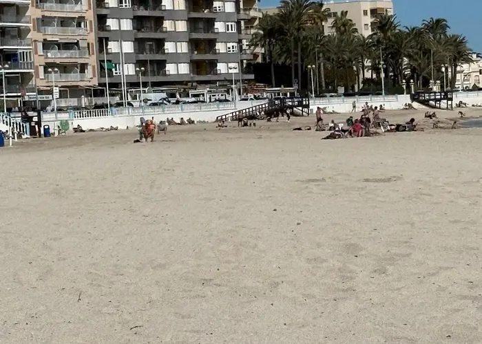 Apartment With Pool, Near The Torrevieja